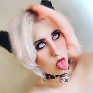 Sugar Madison Draper