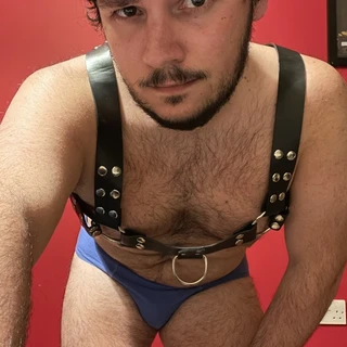 Teddy bear Lx