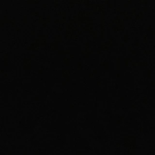 thatflcouple