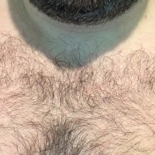 Daddy Bear