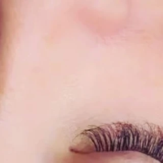 Carolina Rose