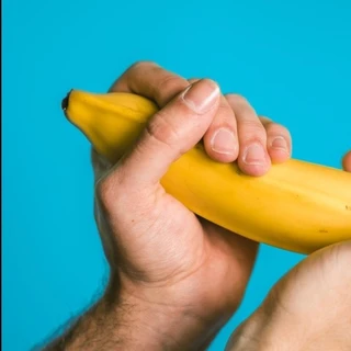 The Foreskin