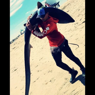 The_Shark_Sniper