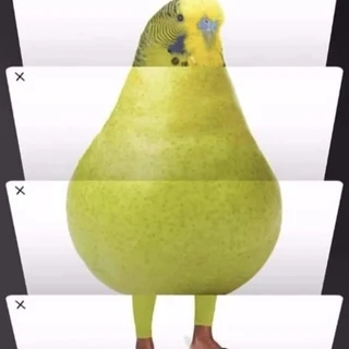 Thiccbirb
