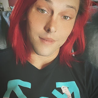 TshoneyBee