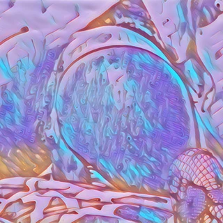 🐰
