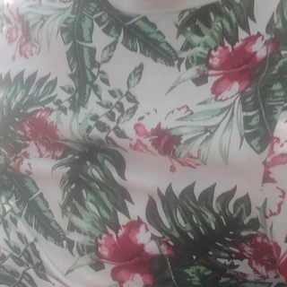 Ghepardul