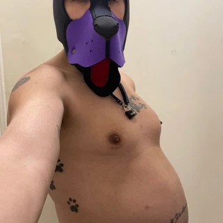 Pup Porkchop