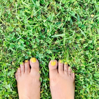 Sunflower Meadow