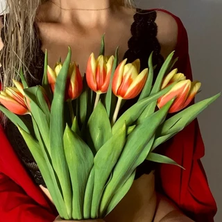 vanessaxx