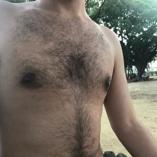 🐻