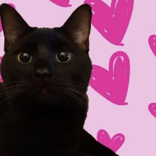 Ｖａｌ