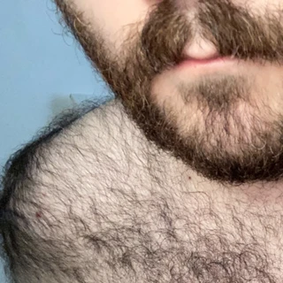 elago bear 🧸