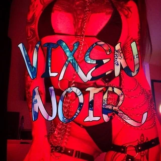 ✨🦇✨VIXEN NOIR ✨🦇✨