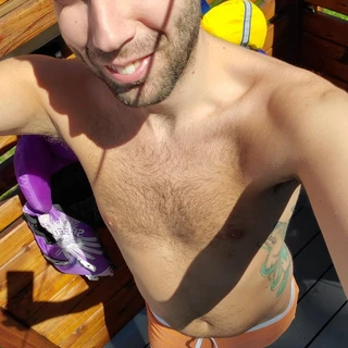 Wolf_gold