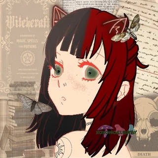 noel ᓚᘏᗢ