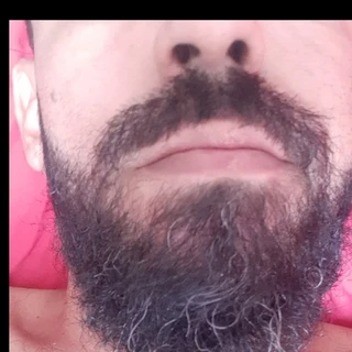 Guto barbudo