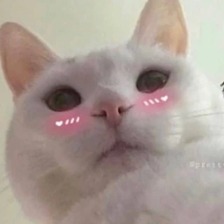 abi ♡