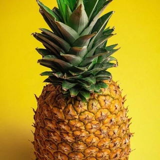 Zaza-Colada💋👣🍍-->VIP