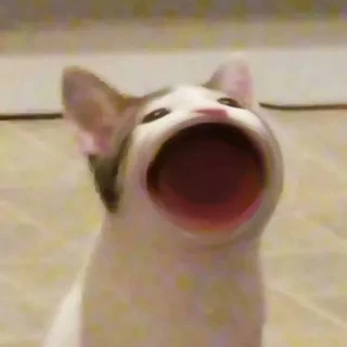 公共自慰套
